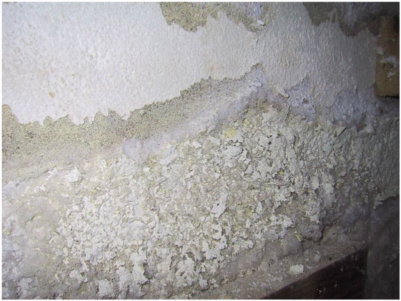 Problème d'humidité et moisissures sur mur intérieur