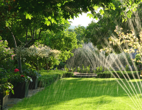 Installer un système d’arrosage automatique dans son jardin