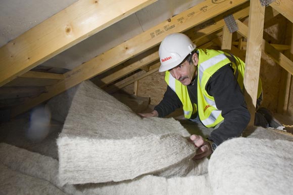 Isolation : ouate de cellulose ou laine de mouton