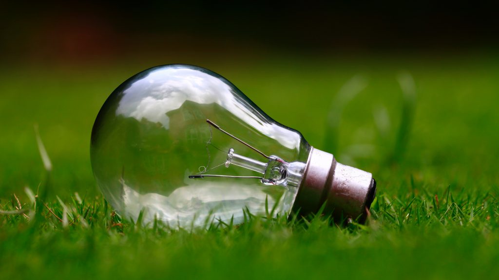 une ampoule couchée dans l'herbe