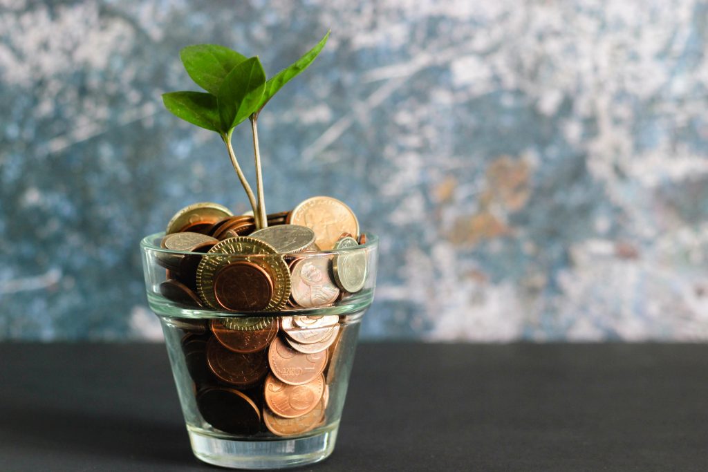 pieces de monnaie dans une verre avec une plante