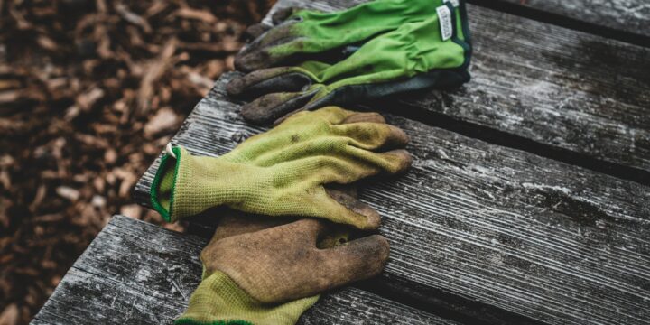 Quel est le rôle d’un jardinier ?